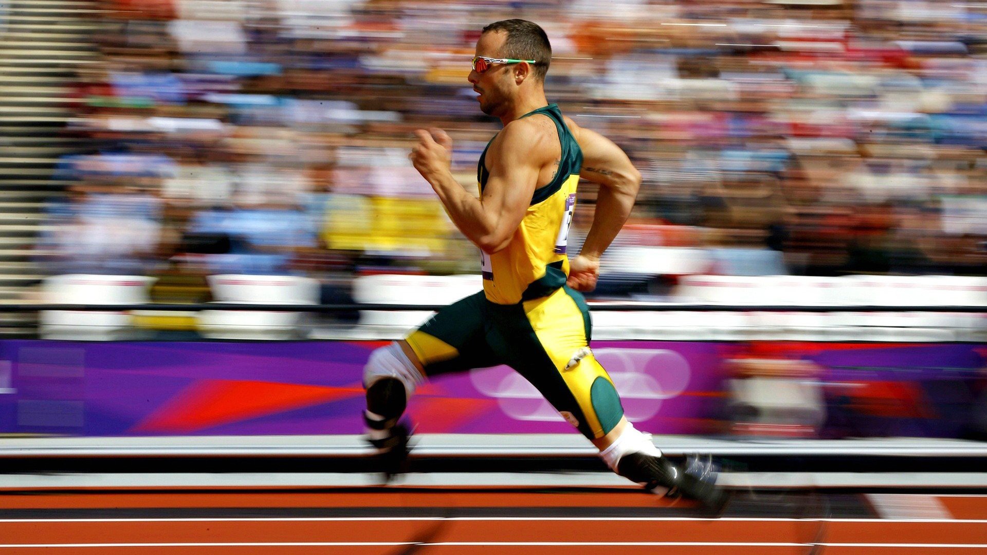 南非男子仰泳节奏稳定,男子仰泳比赛视频